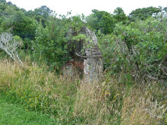 
Tunnel Gully, chimney stack, January 2013